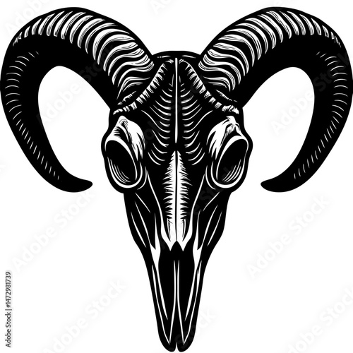 Skull of Ram: A striking black and white depiction of a ram skull, featuring intricate bone details and formidable horns, evokes themes of strength and the wild.