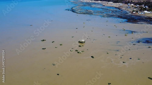 Wallpaper Mural Aerial view looking down towards a group of rocks greened by seaweed emerging from the ocean with waters browned by spring at low tide near a coastal village. Saint-Ulric-de-Matane, Quebec, Canada. Torontodigital.ca