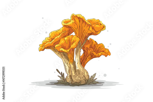 chanterelle mushrooms boletus autumn isolated