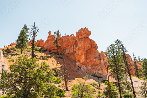 Queens Garden Trail Hike