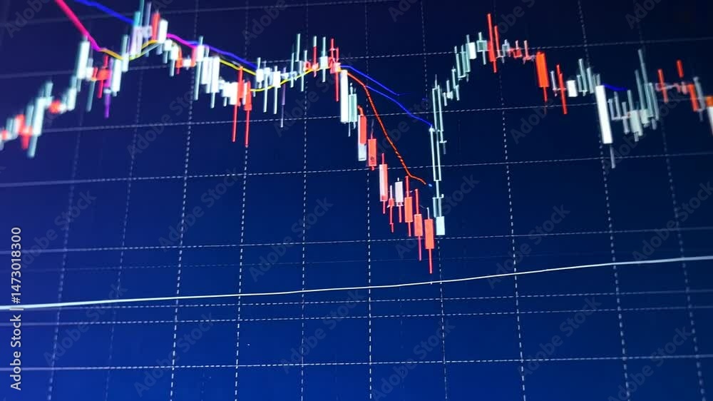 Inancial and investment products in Bond market. i.e. REITs, ETFs, bonds, stocks. Sustainable portfolio management, long term wealth management with risk diversification concept.
