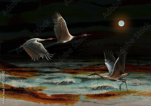 Obraz na płótnie Herons in moonlight