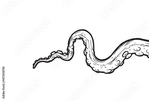 Tentacles of octopus, vector hand drawn collection of illustrations. Black and white engraving style drawings. Tentacle straight and with rings in different angles.