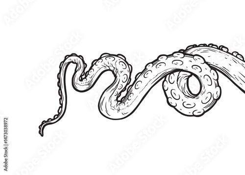 Tentacles of octopus, vector hand drawn collection of illustrations. Black and white engraving style drawings. Tentacle straight and with rings in different angles.