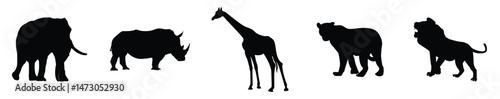 Silhouette of African Animals Elephant Rhino Giraffe and Lions