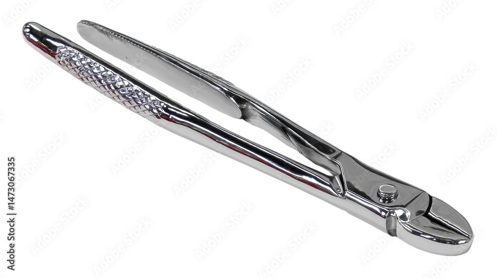 Metallic Dental Extraction Forceps: Close-up capture of dental extraction forceps with ergonomic handle, providing a precise view of the instrument. Metallic Dental Extraction Forceps: Close-up capture of dental extraction forceps with ergonomic handle, providing a precise view of the instrument.