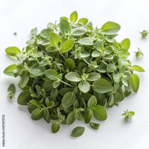 Dried oregano or marjoram leaves on a white surface