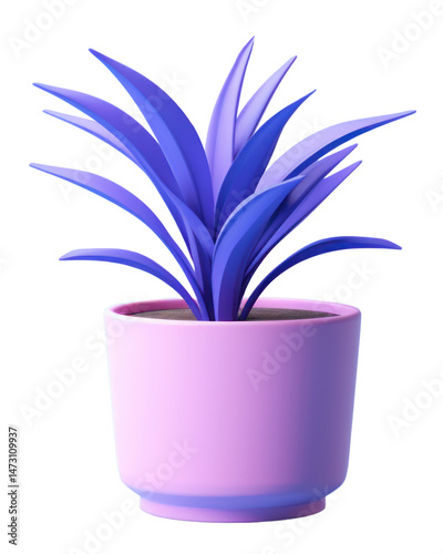Plant vase bromeliaceae houseplant.  PNG with transparent background.