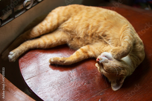 Cute ginger cat sleeping on a wooden table in the house.