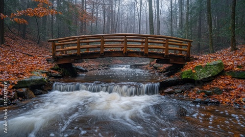Misty autumnal woodland stream with wooden bridge.
