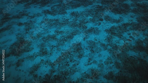 Wallpaper Mural 空撮した南の島の珊瑚礁の海 Torontodigital.ca