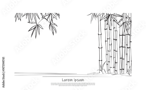 Bamboo stems and leaves with minimalist line art on transparent background design