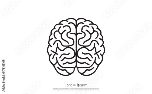 Brain Anatomy Outline, Minimalist Style on Transparent Background for Medical Design