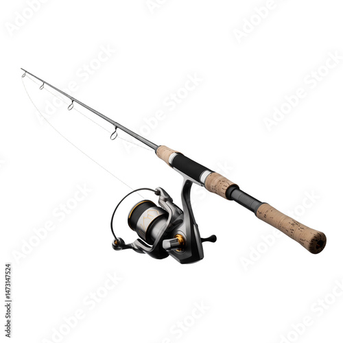 Spinning rod for fishing