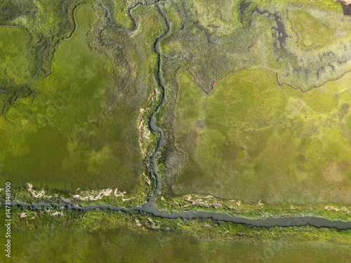 Grassy Sound near Wildwood, New Jersey
