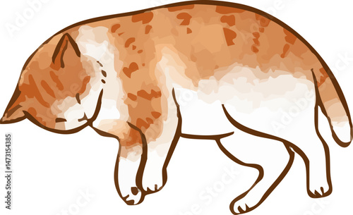 転がる猫