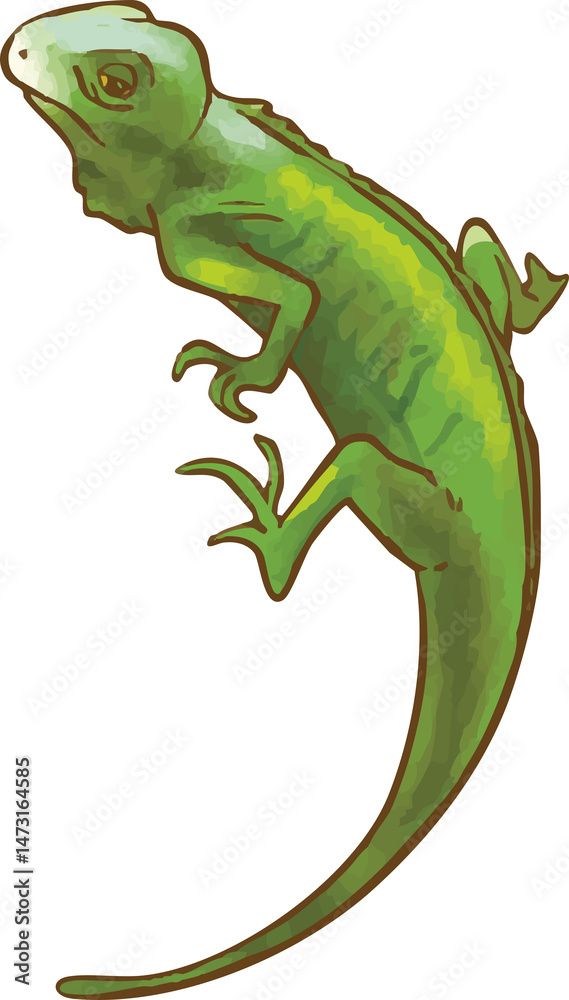 Obraz premium トカゲ