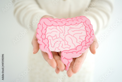 hands holding intestine shape, healthy bowel digestion, leaky gut, probiotic and prebiotic for gut health, colon, gastric, stomach cancer 