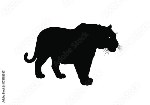 Bengal tiger silhouette. This image shows a black silhouette of a Bengal tiger with sharp, jagged edges resembling sun rays. Vector clipart illustration design.