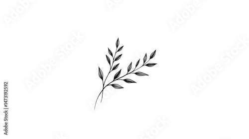 Elegant Minimalist Botanical Illustration: Two Delicate Branches with Small Leaves on White Background