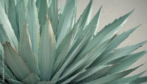 Soft pastel agave leaf backdrop, stylish design element, trendy, graphics, spring