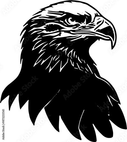 eagle head vector illustration