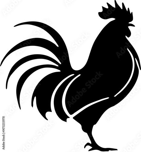 rooster vector illustration