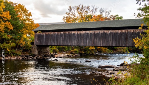A covered bridge stretches over a gentle river with trees of changing leaves