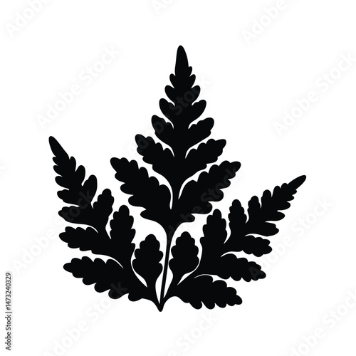 Black silhouette of a fern leaf with intricate patterns on a white background