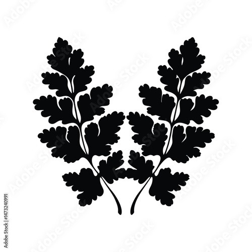 Black silhouette of a fern leaf with intricate patterns on a white background