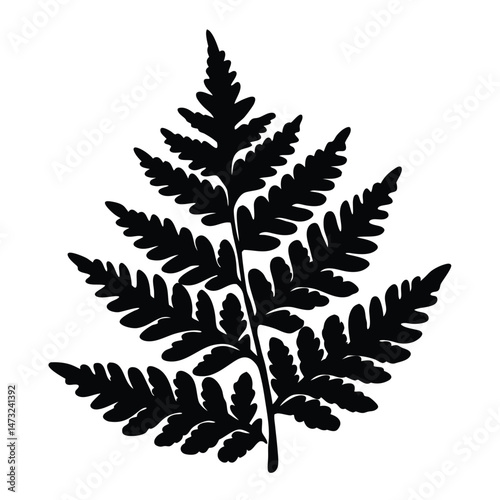 Black silhouette of a fern leaf with intricate patterns on a white background