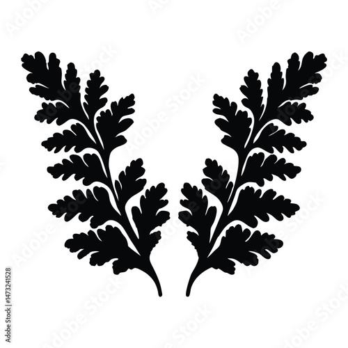 Black silhouette of a fern leaf with intricate patterns on a white background