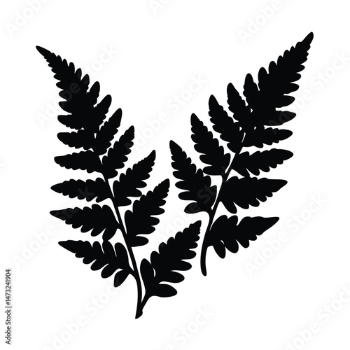 Black silhouette of a fern leaf with intricate patterns on a white background