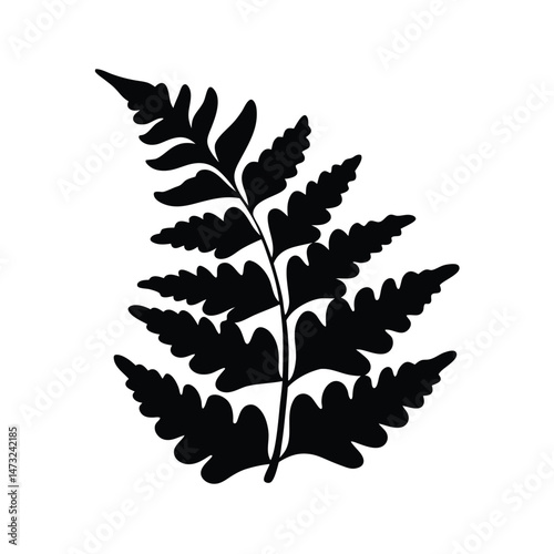 Black silhouette of a fern leaf with intricate patterns on a white background
