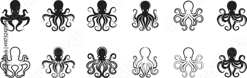 Octopus Illustrations. Different Styles. Octopus Designs. photo