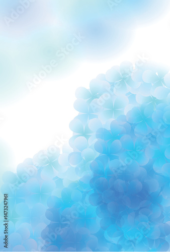アジサイ　梅雨　花　背景	