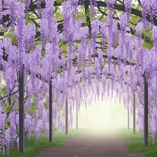 Walking Path Under Wisteria Flowers Blooming in Purple Colors