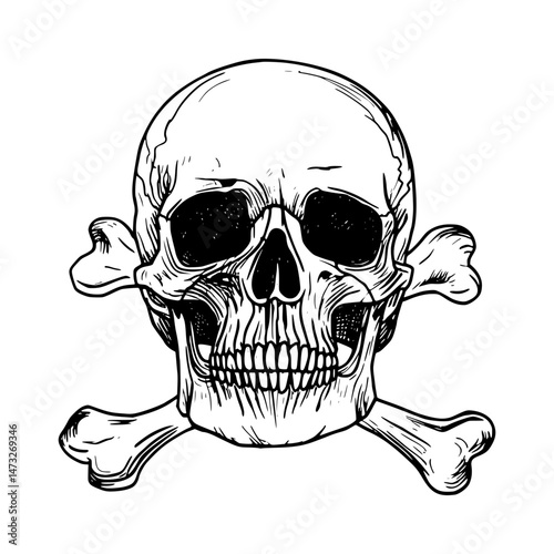Skull and Crossbones - Vintage Illustration