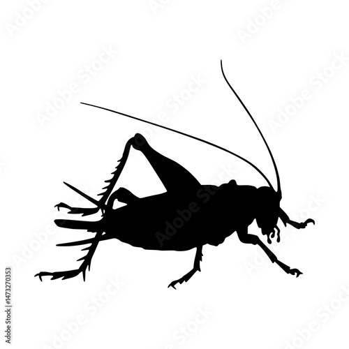 Silhouette Grasshopper - Black Outline Vector
