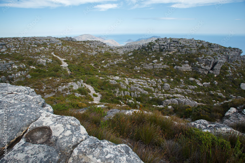 Beautiful Panorama Vista point of Table Mountain National Park, Cape Town, South Africa Beautiful Panorama Vista point of Table Mountain National Park, Cape Town, South Africa