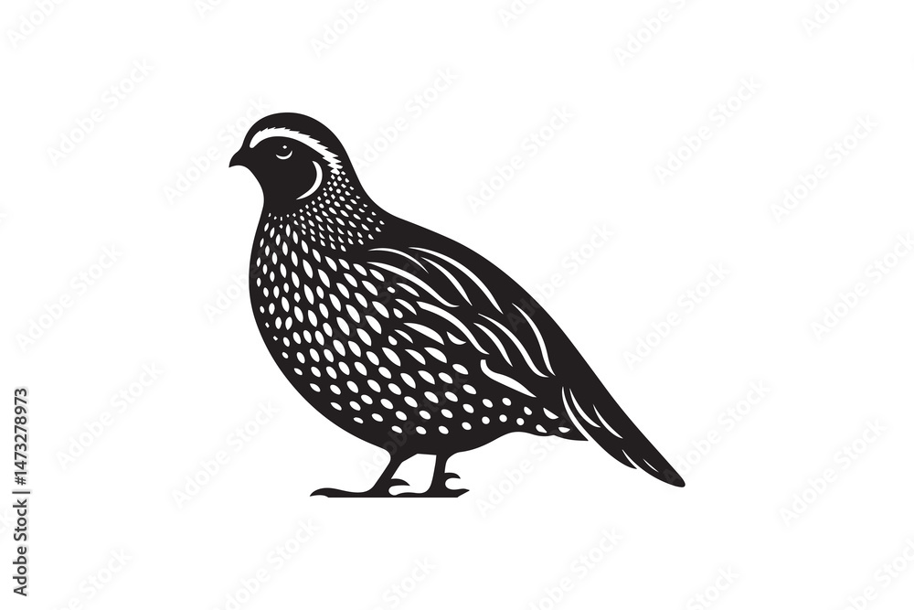 Fototapeta premium simple and unobtrusive Bobwhite Quail vector silhouette illustration isolated in white background