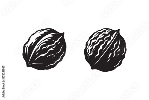 simple and unobtrusive Walnut vector silhouette illustration isolated in white background