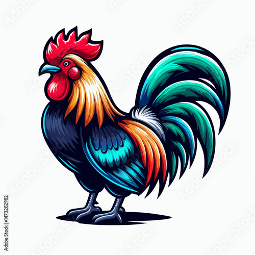 rooster vector illustration
