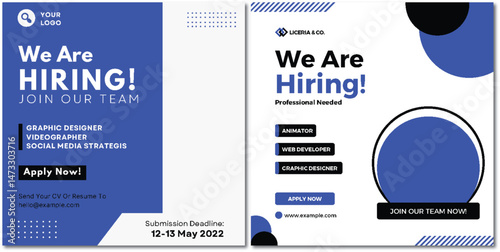 Creative Job Opportunity Announcement Poster for Expanding Professional Team