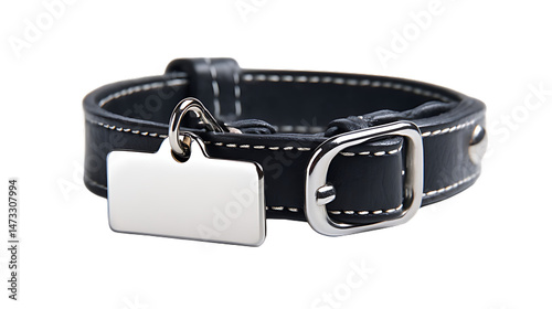 Black leather dog collar silver buckle tag on black background closeup