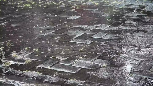 Raindrops falling on a brick paved surface, creating ripples and wet texture detail
