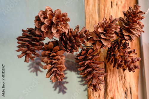 Bunch of dry pinecones on old rustic wooden frame for Christmas decor