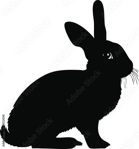 Mini Rex Rabbit silhouette illustration 