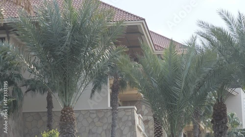 A view of a residential house surrounded by palm trees.