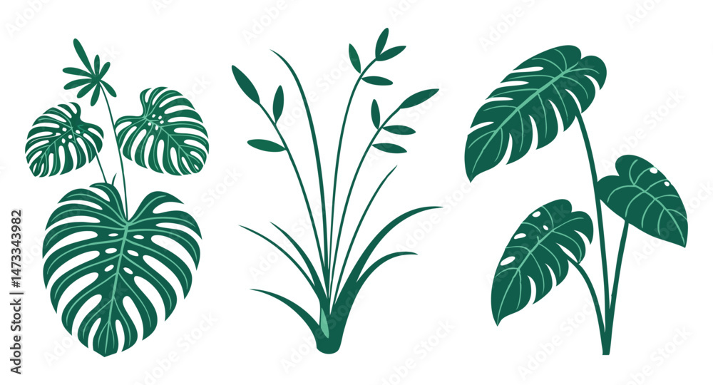 Monster, grass, and philodendron leaf designs Monster, grass, and philodendron leaf designs